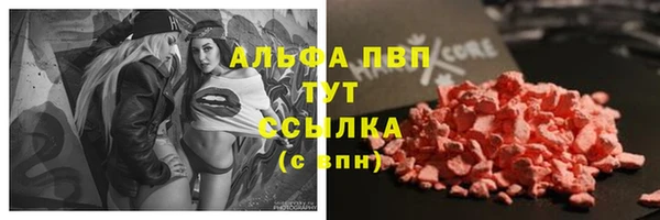 прущие крисы Лабытнанги