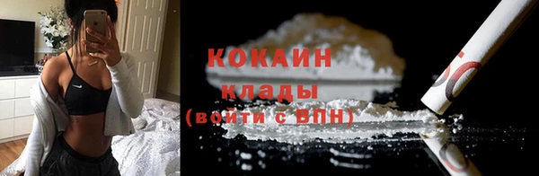 дживик Россошь