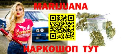 шишки Заволжье