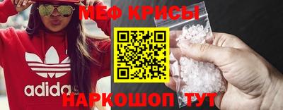 шишки Заволжье
