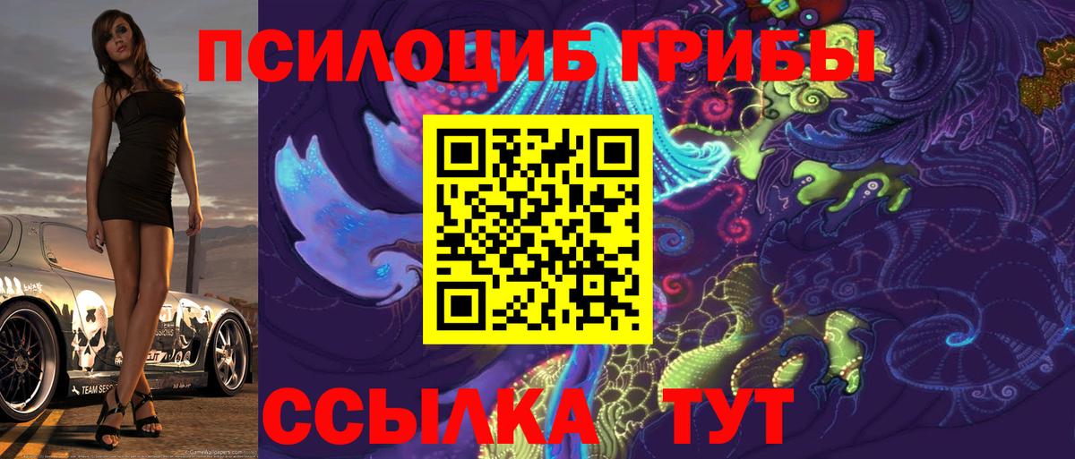 Ливны  Галлюциногенные грибы прущие грибы  Вход с VPN 