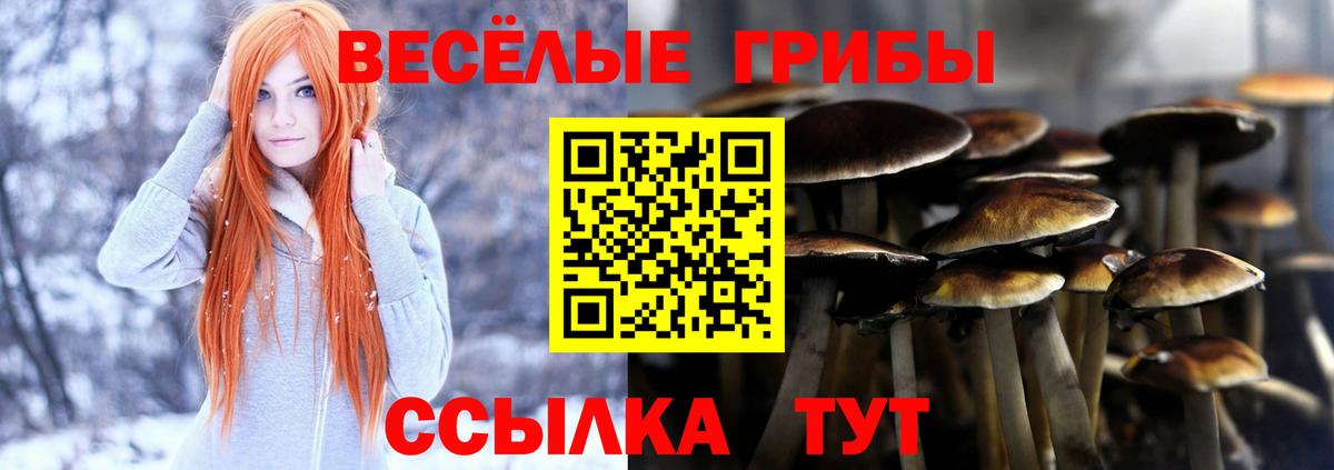 Псилоцибиновые грибы прущие грибы Ливны
